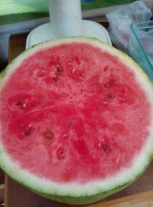 沈阳医院吃瓜,揭秘背后的真相与争议