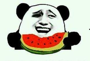 劈瓜吃货,探寻美食背后的文化故事