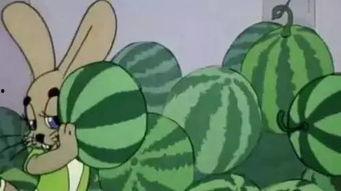 劈瓜吃货,探寻美食背后的文化故事